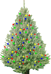 tree2.gif (52385 bytes)